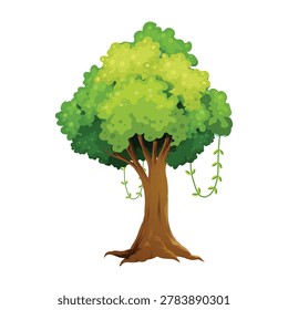 Tall Rainforest Tree with Slender Trunk and Hanging Green Vines Vector