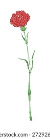 Tall Red Carnation Flower Vector Illustration