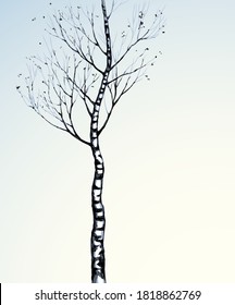 Tall romantic outdoor wintertime copse shape evening sky scenic view light paper text space. linear dark ink pen hand drawn wooden scene picture logo border frame banner design artistic retro style