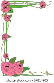 Tall Rose Border