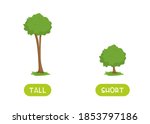 TALL and SHORT antonyms word card vector template. Flashcard for english language learning. Opposites concept. Big tree and a small bush