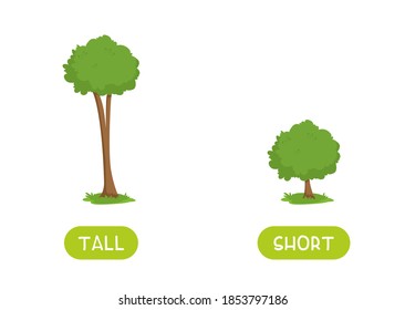 TALL and SHORT antonyms word card vector template. Flashcard for english language learning. Opposites concept. Big tree and a small bush