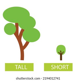 tall and short antonyms word card vector template. Flashcard for english language learning. Opposites concept. Big tree and a small tree