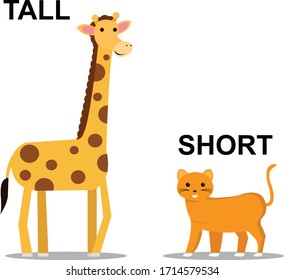 Tall and Short comparison kids vector illustration design