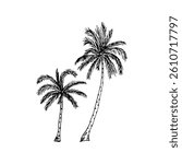 Tall and short palm trees vector hand-drawn summer tropical elements.