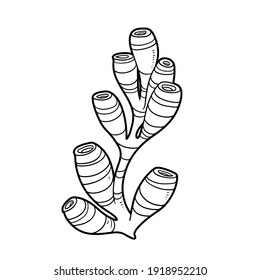Dibujo lineal del libro de colorantes de esponjas de talla aislado en fondo blanco