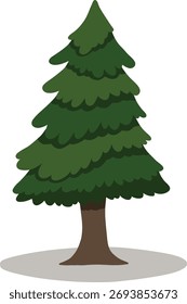 Tall Spruce Pine Tree Illustration Flat Minimalist Style