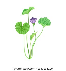 Talltreppe oder Stalk mit violettem Fußboden und grüner Laubholz, Vektorgrafik