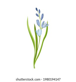 Talltreppe oder Stalk mit violettem Floret und grüner Leaf-Blade-Vektorgrafik