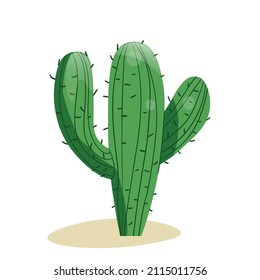 Tall succulent cactus with thorns isolated element. Vector drawing illustration for icon, game, packaging, banner. Wild west, western, cowboy concept.