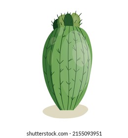 Tall succulent cactus with thorns isolated element. Vector drawing illustration for icon, game, packaging, banner. Wild west, western, cowboy concept.