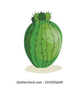 Tall succulent cactus with thorns isolated element. Vector drawing illustration for icon, game, packaging, banner. Wild west, western, cowboy concept.