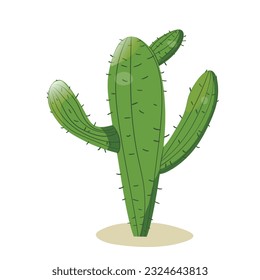 Tall succulent cactus with thorns isolated element. Vector drawing illustration for icon, game, packaging, banner. Wild west, western, cowboy concept.