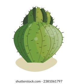Tall succulent cactus with thorns isolated element. Vector drawing illustration for icon, game, packaging, banner. Wild west, western, cowboy concept.