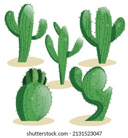 Tall succulent cactus with thorns and stone isolated elements. Vector drawing set illustration for icon, game, packaging, banner. Wild west, western, cowboy concept.