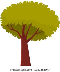 Tall tree with brown thick trunk and leaves. Large plant with dense round crown isolated on white