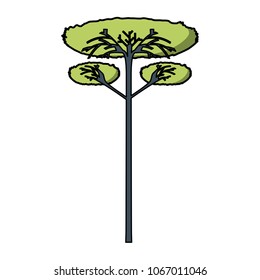 tall tree icon image