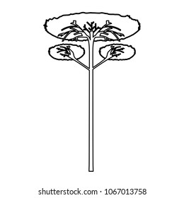 tall tree icon image