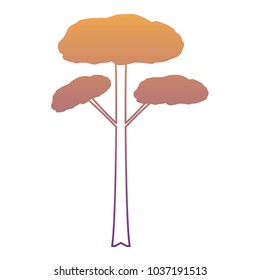 tall tree icon over white background, colorful design. vector illustration