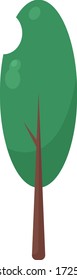 Tall tree, illustration, vector on white background