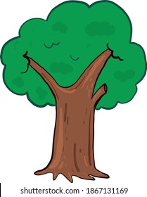 Árvore alta, ilustração, vetor sobre fundo branco.