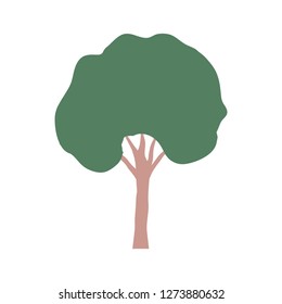 tall tree isolated icon