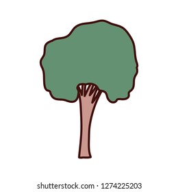 tall tree isolated icon