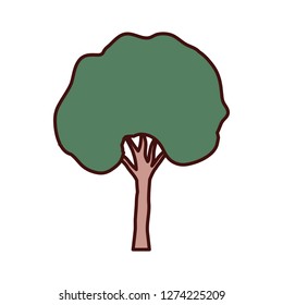 tall tree isolated icon
