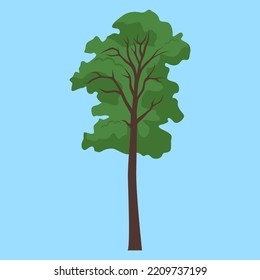 tall tree on a blue background