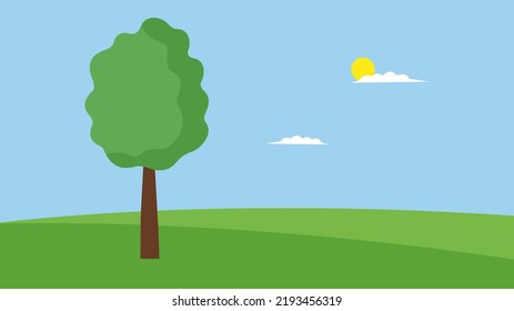 árbol alto en un campo verde
