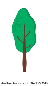 tall tree on white background