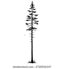 Silueta de árbol alto rodeado de espacio vacío