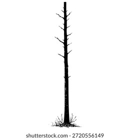 Tall tree stands alone in a dry field