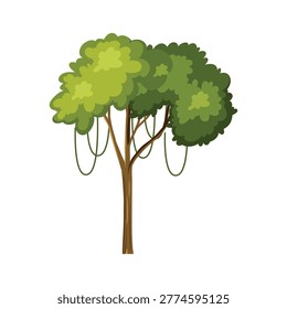 Tall Tropical Banyan Tree with Long Hanging Aerial Roots Illustration Vector