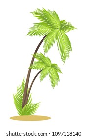 Tall tropical palm trees on small piece of sand. Exotic plants with big leaves. Greenery that grow in hot countries isolated vector illustration.