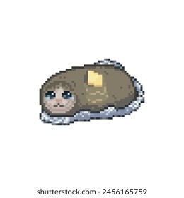 Tamale cat, pixel art meme