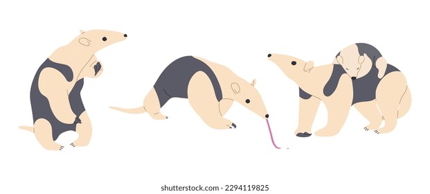 Tamandua cute 1 on a white background, vector illustration.