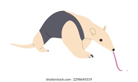 Tamandua cute 2 Single on a white background, vector illustration.