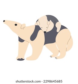 Tamandua cute 3 Single on a white background, vector illustration.