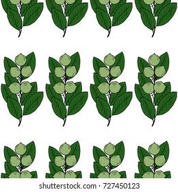 Tamanu tree (Calophyllum inophyllum). Nuts, plant, berry. Hand drawn sketch seamless pattern. Treatment, organic cosmetics ingredient, oil.  For textile, wallpaper, covers, surface, print, wrapping.