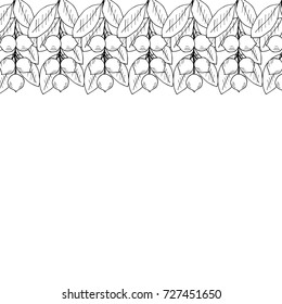 Tamanu tree (Calophyllum inophyllum). Nuts, plant, berry, fruit natural organic butter ingredient. Hand drawn ink sketch illustration. Treatment, cosmetics ingredient, oil. Isolated. Round frame.