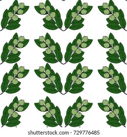 Tamanu tree (Calophyllum inophyllum). Nuts, plant, berry. Hand drawn sketch seamless pattern. Treatment, organic cosmetics ingredient, oil.  For textile, wallpaper, covers, surface, print, wrapping.