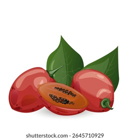Tamarillo. Exotisch tropisch tomatenfruit. Voor foodblogs of receptenwebsites, verpakkingen, catalogi of educatieve posters, menu’s, printables en lesmateriaal.