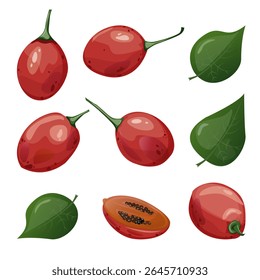 Tamarillo. Exotisch tropisch tomatenfruit. Voor foodblogs of receptenwebsites, verpakkingen, catalogi of educatieve posters, menu’s, printables en lesmateriaal.