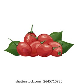 Tamarillo. Exotisch tropisch tomatenfruit. Voor foodblogs of receptenwebsites, verpakkingen, catalogi of educatieve posters, menu’s, printables en lesmateriaal.