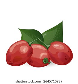Tamarillo. Exotisch tropisch tomatenfruit. Voor foodblogs of receptenwebsites, verpakkingen, catalogi of educatieve posters, menu’s, printables en lesmateriaal.