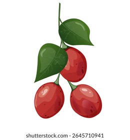 Tamarillo. Exotic tropical tomato tree fruit. For food blogs or recipe websites, packaging, catalogs or educational posters, menus, printables and teaching materials.