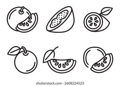 Tamarillo Fruit line art set isolated flat vector illustration on white background