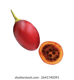 Tamarillo fruit Slice illustration on white backgorund vol 01