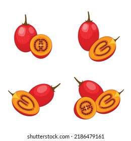 Tamarillo set design with isolated whole and cut tropical fruit tree tomato. Exotic vegan food in flat detailed vector style for packaging, designs, decorative elements
